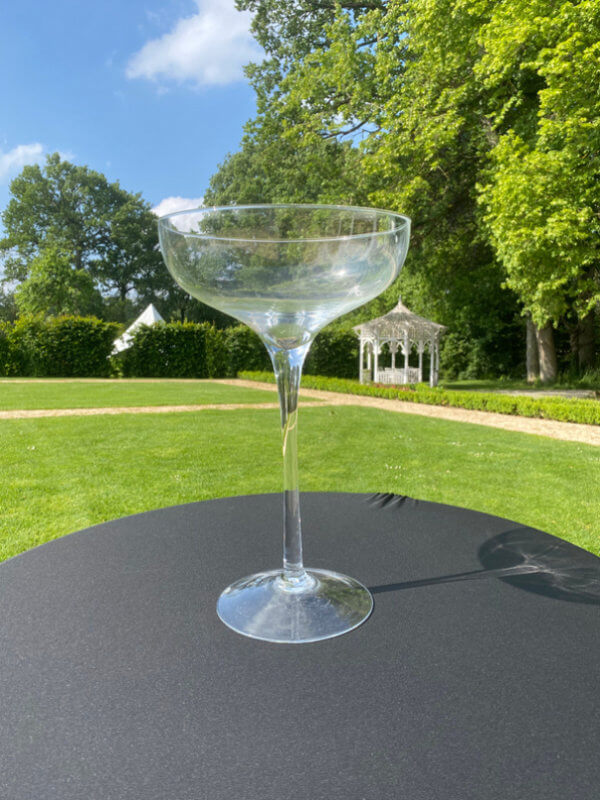 VERRE MARTINI